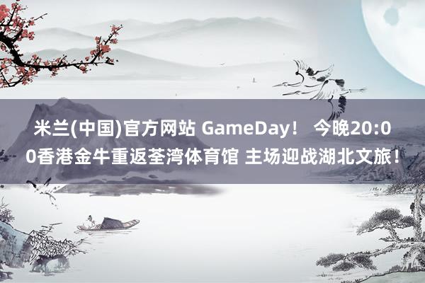 米兰(中国)官方网站 GameDay！ 今晚20:00香港金牛重返荃湾体育馆 主场迎战湖北文旅！