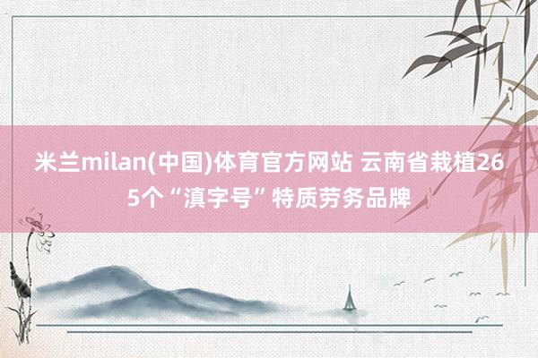 米兰milan(中国)体育官方网站 云南省栽植265个“滇字号”特质劳务品牌