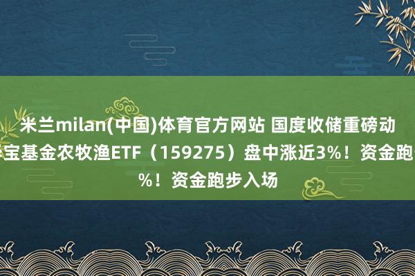 米兰milan(中国)体育官方网站 国度收储重磅动手，华宝基金农牧渔ETF（159275）盘中涨近3%！资金跑步入场