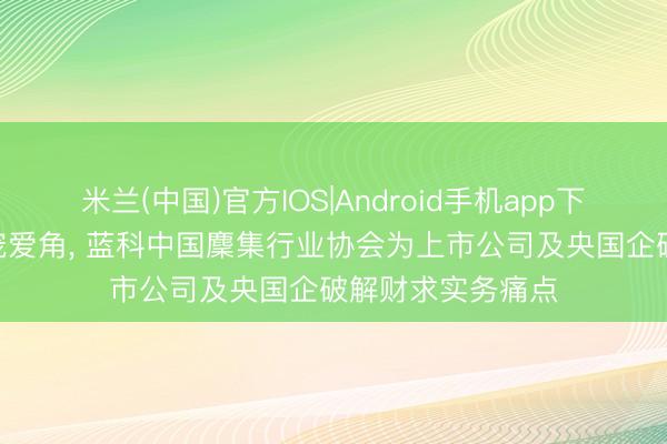 米兰(中国)官方IOS|Android手机app下载 深蓉双城•双宠爱角， 蓝科中国麇集行业协会为上市公司及央国企破解财求实务痛点
