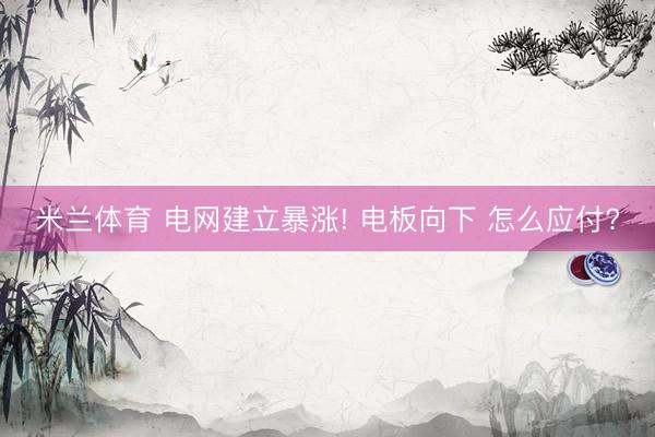 米兰体育 电网建立暴涨! 电板向下 怎么应付?