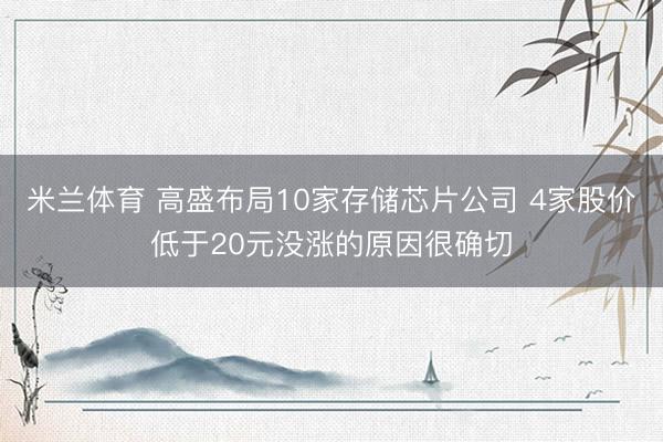 米兰体育 高盛布局10家存储芯片公司 4家股价低于20元没涨的原因很确切