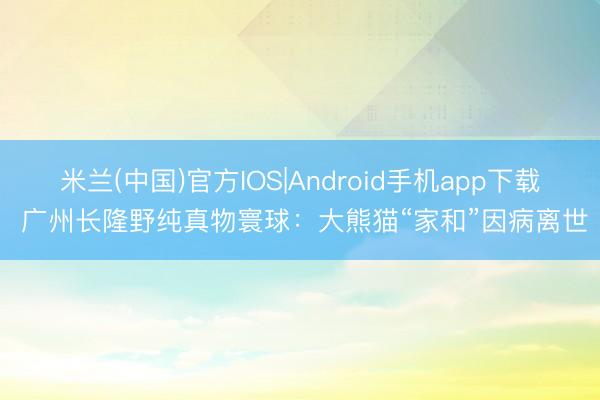 米兰(中国)官方IOS|Android手机app下载 广州长隆野纯真物寰球：大熊猫“家和”因病离世