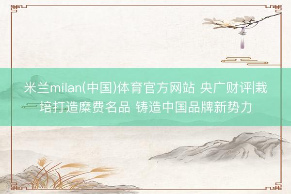 米兰milan(中国)体育官方网站 央广财评|栽培打造糜费名品 铸造中国品牌新势力