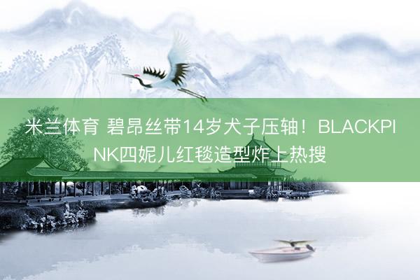 米兰体育 碧昂丝带14岁犬子压轴！BLACKPINK四妮儿红毯造型炸上热搜